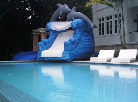 Dolphin no Pool.jpg